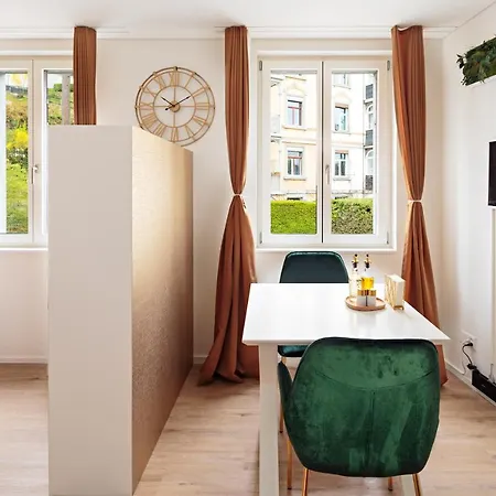 Visimo Muehlensteg St Gallen - Elegant Quiet شقة فندقية سانت غالن