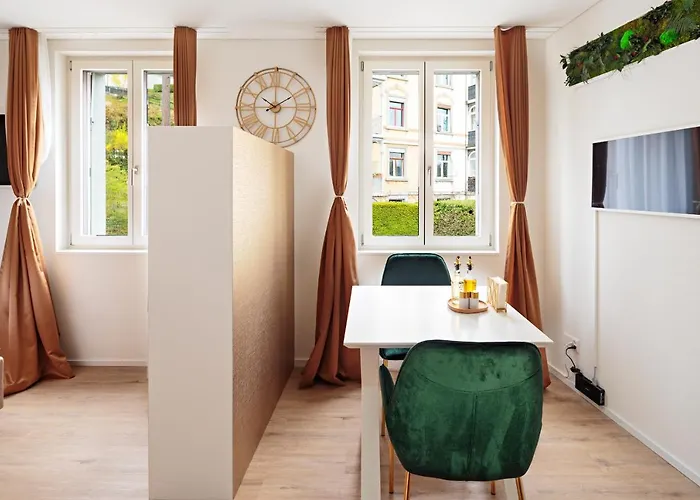 Visimo Muehlensteg St Gallen - Elegant Quiet Appart hôtel Saint-Gall