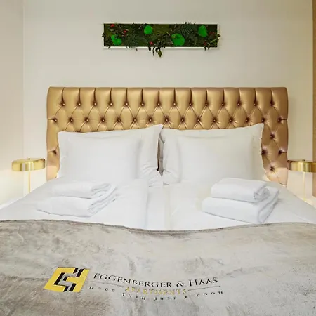 Visimo Muehlensteg St Gallen - Elegant Quiet 4* St. Gallen