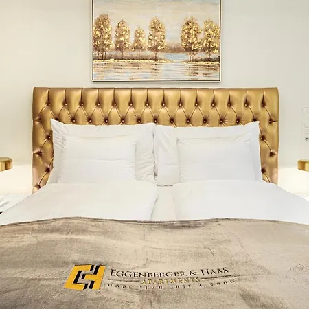 Visimo Muehlensteg St Gallen - Elegant Quiet 4*